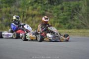 IMG (314)